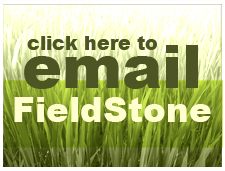 Email FieldStone Ovine