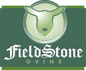 Fieldstone Ovine - Charollais Sheep - Logo