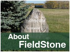 FieldStone Ovine